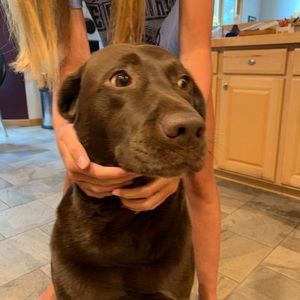 Meet your Posher, Braydon